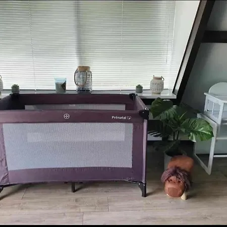 Casa de Férias Edice Met Zwembad En Restaurant In - Honden Toegelaten Durbuy