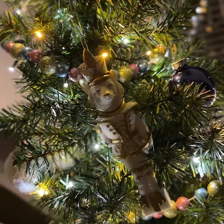 Edice Met Zwembad En Restaurant In - Honden Toegelaten * Durbuy